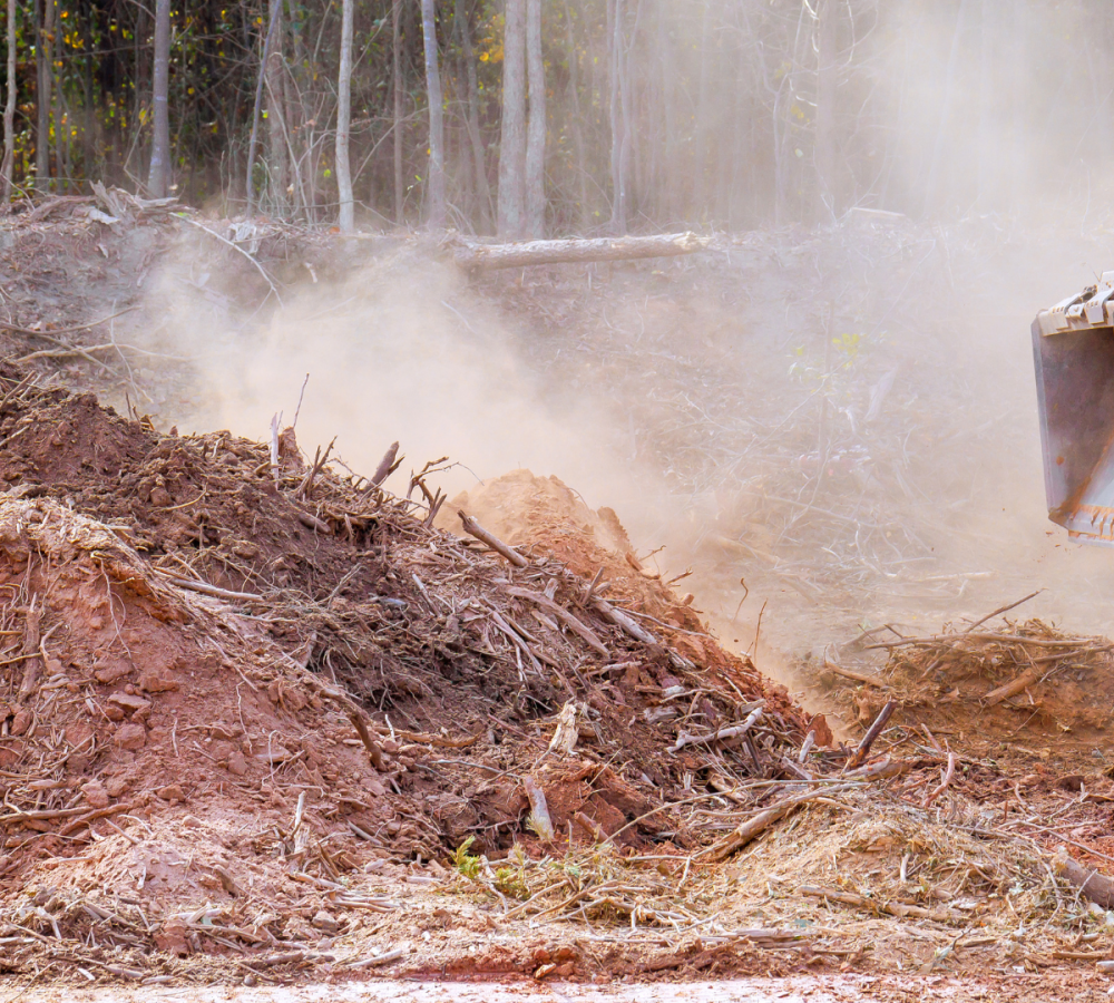 Construction Debris Removal